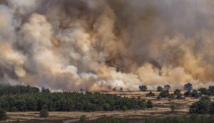 В Нідерландах розгорілася пожежа на військовому полігоні