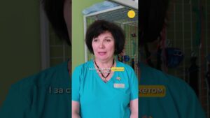 Дитяче реабілітаційне відділення у Краматорську працює попри близькість фронту