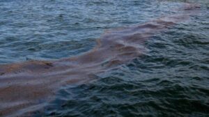 У Чорному морі під удар РФ потрапило цивільне судно: є зниклі безвісти